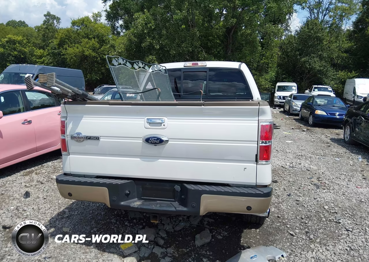 2014 Ford F-150 King Ranch VIN:1FTFW1CT9EKD49593 - 16