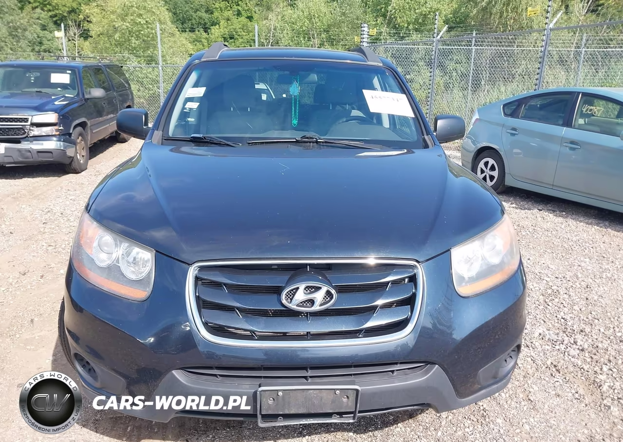 2010 Hyundai Santa Fe Gls VIN:5NMSGDAB0AH367798 - 6