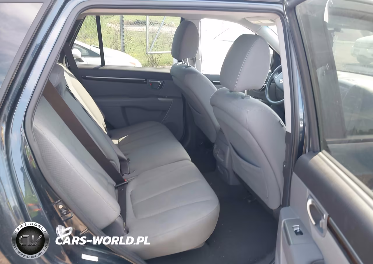 2010 Hyundai Santa Fe Gls VIN:5NMSGDAB0AH367798 - 8