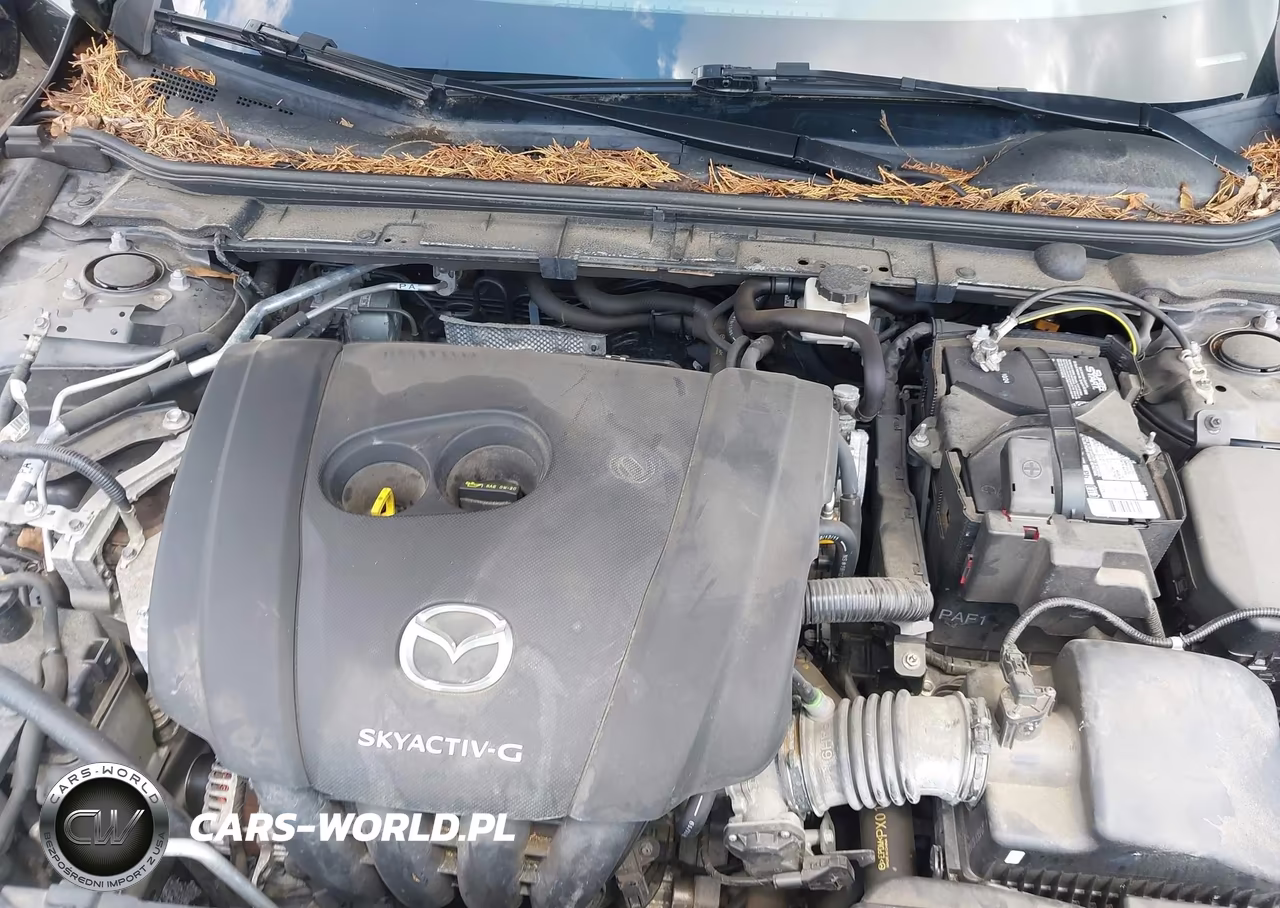 2020 Mazda Mazda3 Select Package VIN:JM1BPACL1L1169149 - 10