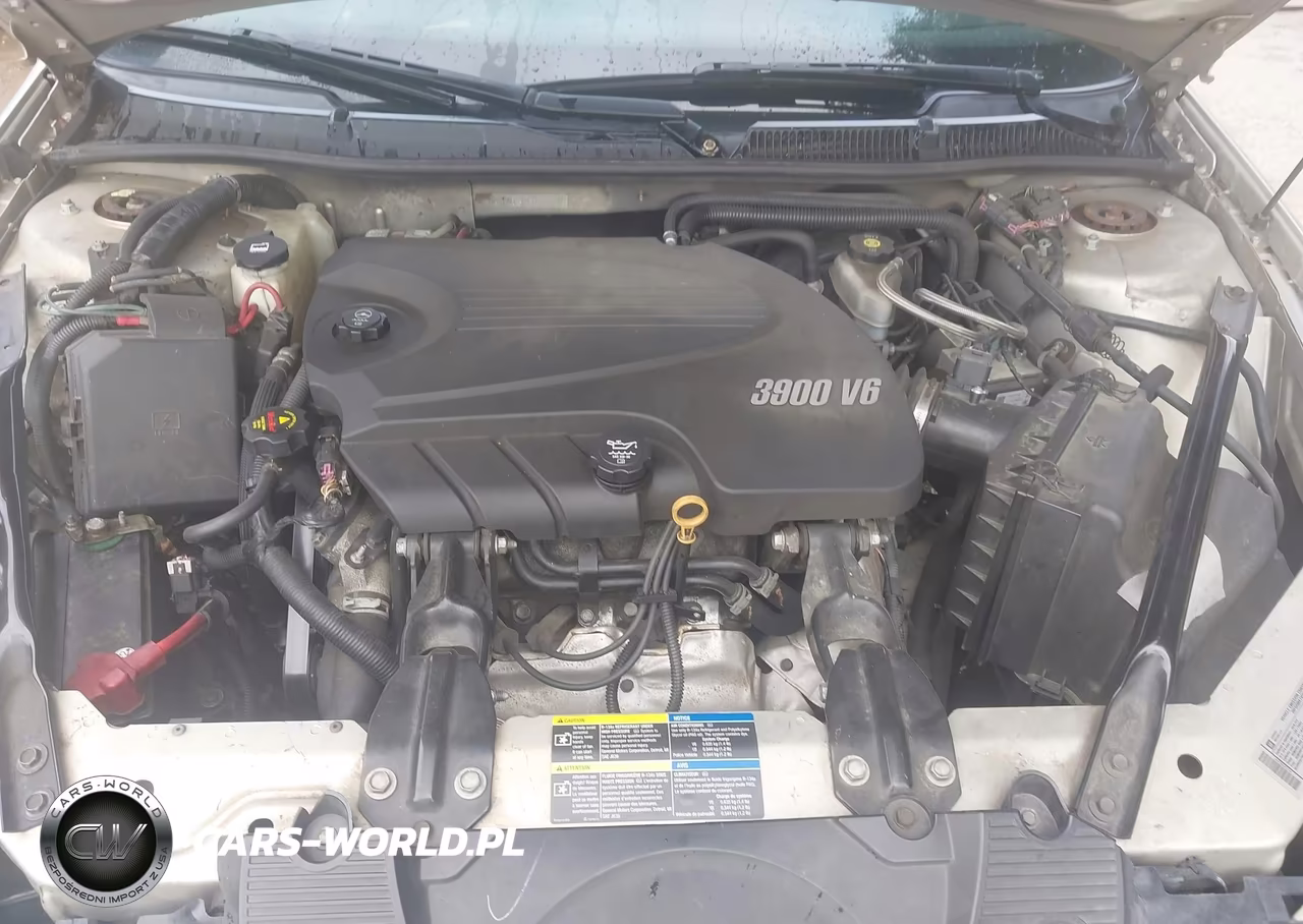 2010 Chevrolet Impala Police VIN:2G1WD5EM6A1250624 - 10