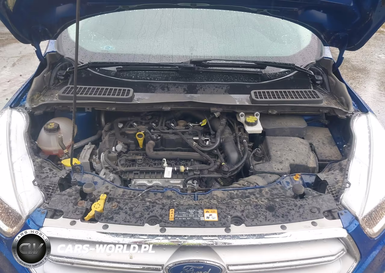 2019 Ford Escape Se VIN:1FMCU9GD8KUA80881 - 10