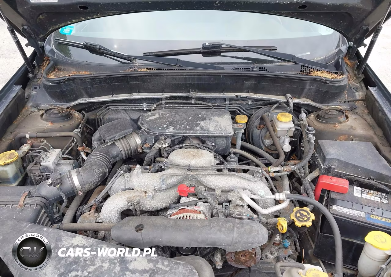 2010 Subaru Forester 2.5X Premium VIN:JF2SH6CC7AG907655 - 10