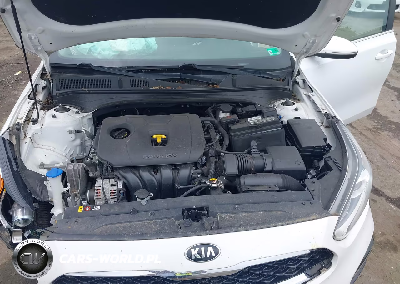 2019 Kia Forte Ex VIN:3KPF54AD8KE027848 - 10