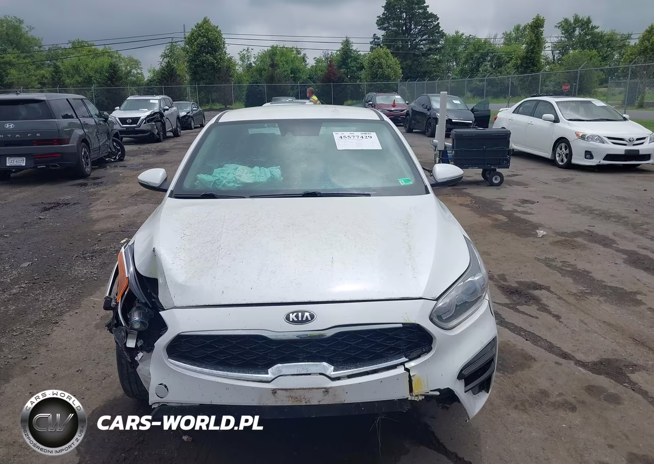 2019 Kia Forte Ex VIN:3KPF54AD8KE027848 - 13