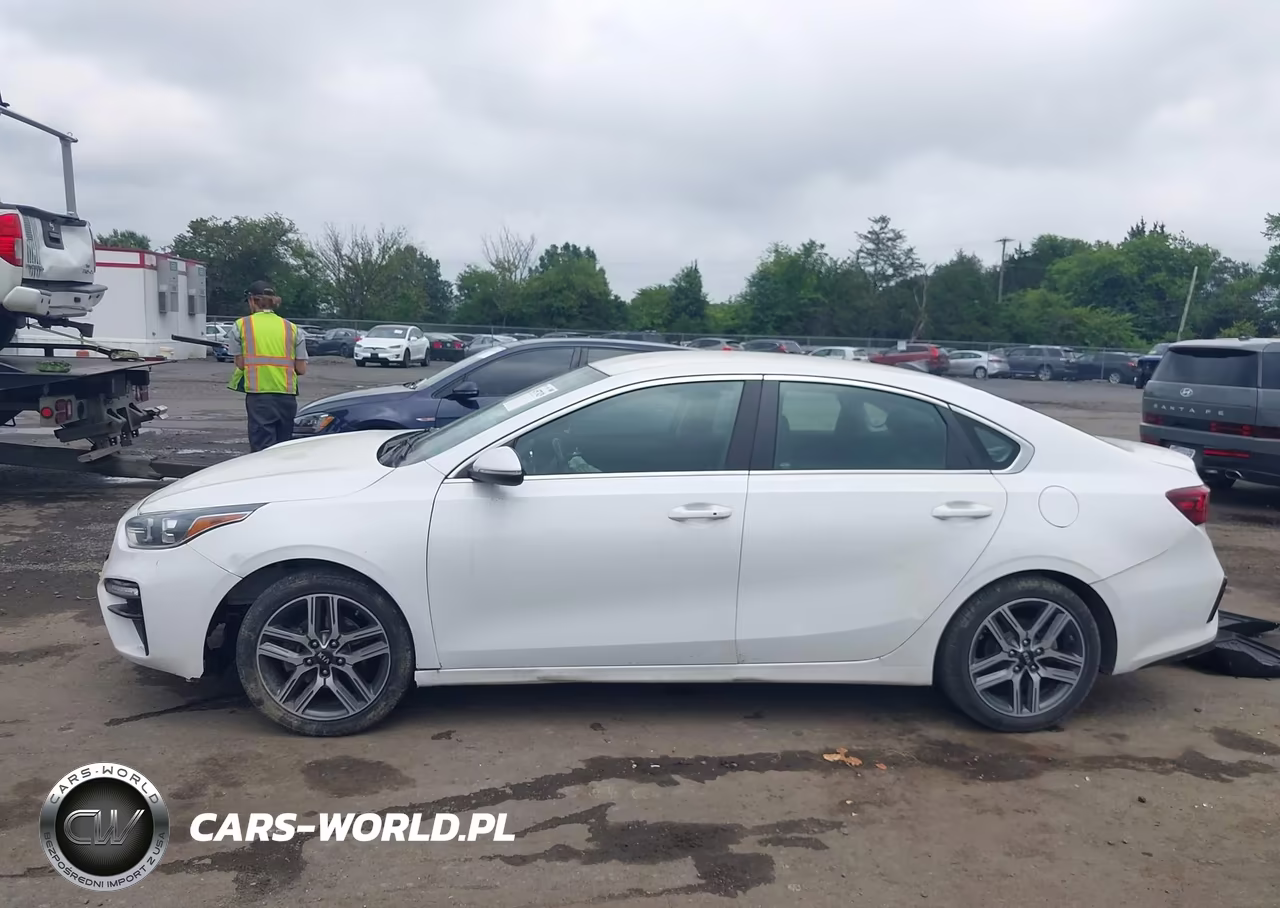 2019 Kia Forte Ex VIN:3KPF54AD8KE027848 - 15