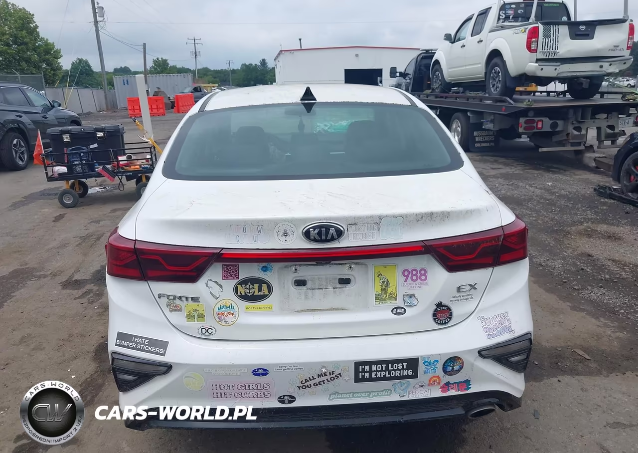 2019 Kia Forte Ex VIN:3KPF54AD8KE027848 - 17