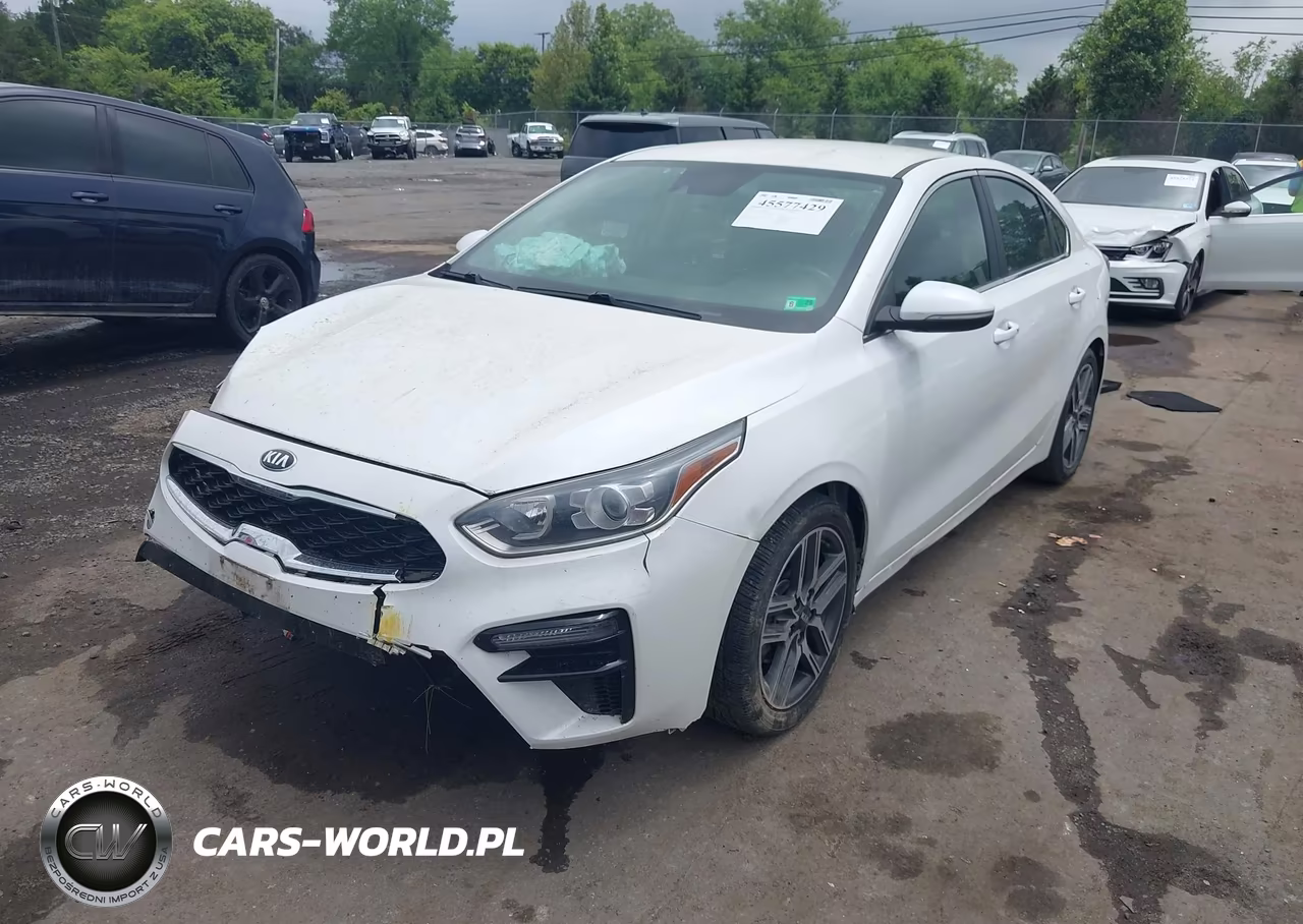 2019 Kia Forte Ex VIN:3KPF54AD8KE027848 - 2