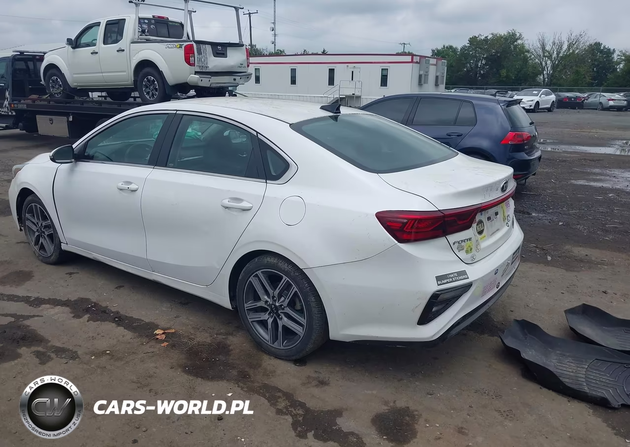 2019 Kia Forte Ex VIN:3KPF54AD8KE027848 - 3