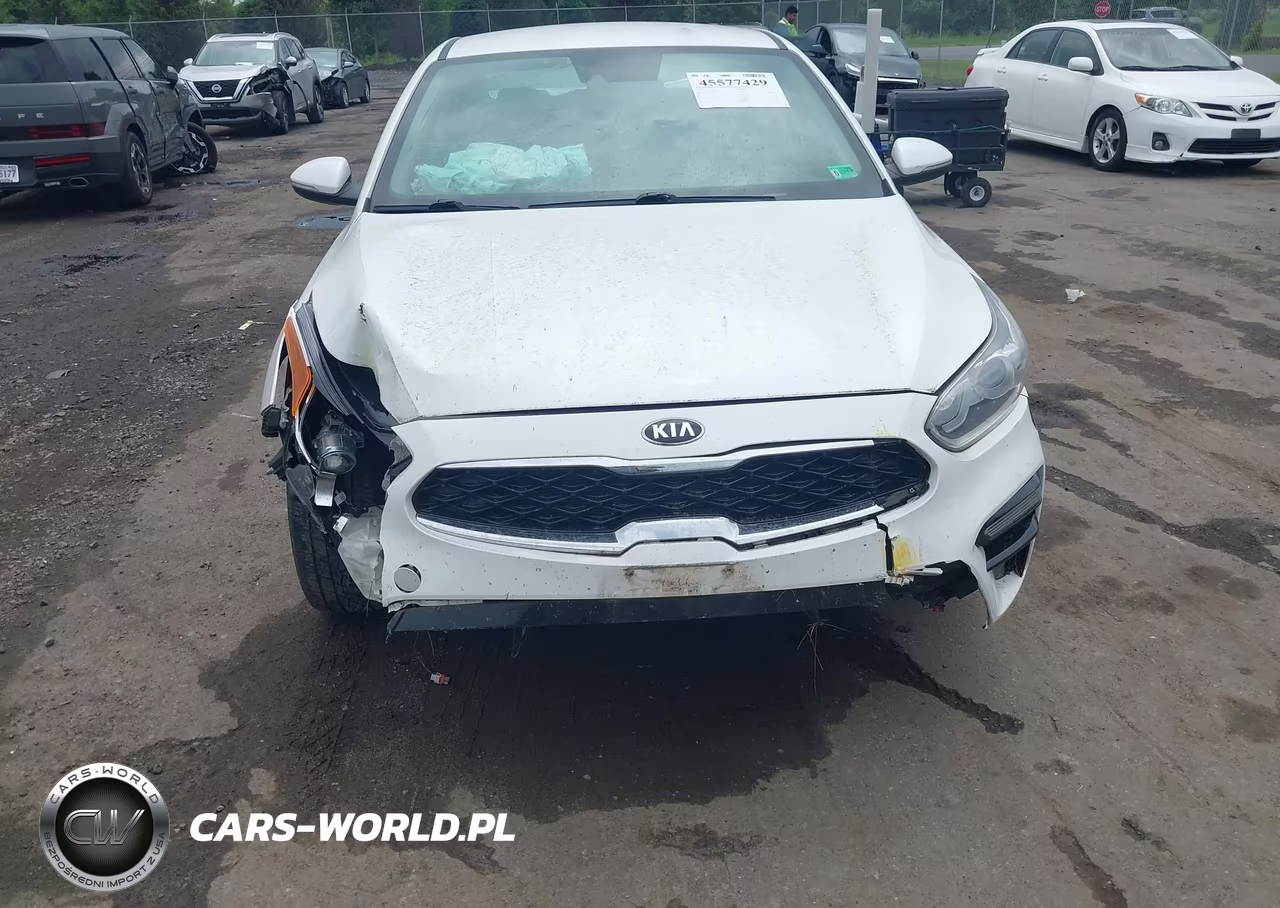 2019 Kia Forte Ex VIN:3KPF54AD8KE027848 - 6