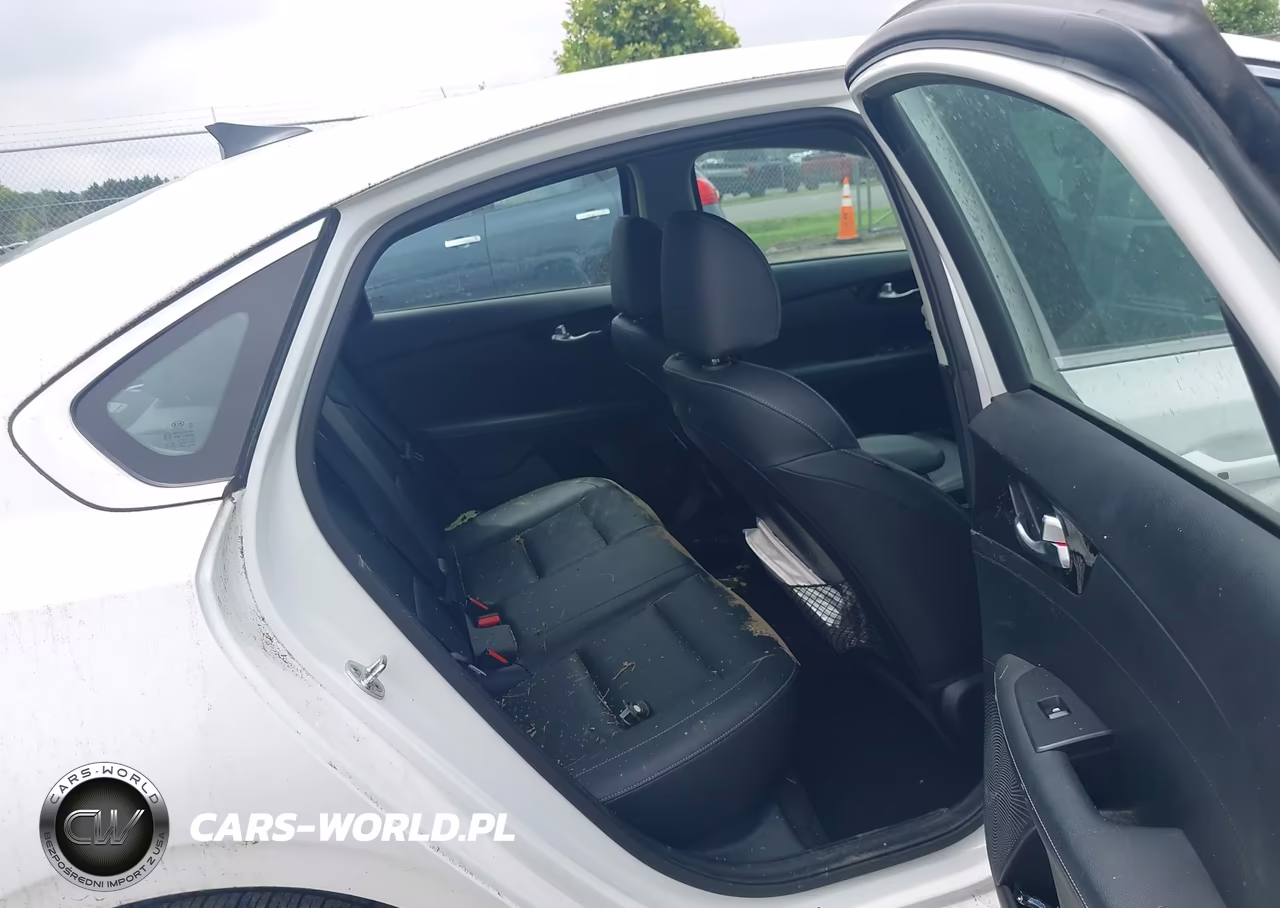 2019 Kia Forte Ex VIN:3KPF54AD8KE027848 - 8