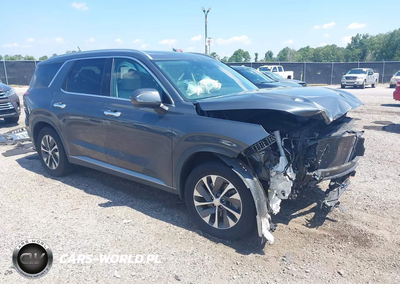 2020 Hyundai Palisade Sel VIN:KM8R24HE9LU104617 - 1