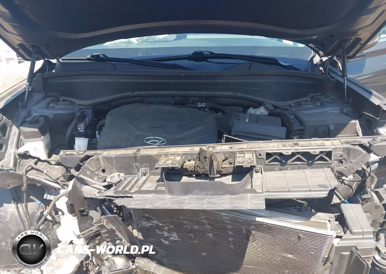 2020 Hyundai Palisade Sel VIN:KM8R24HE9LU104617 - 10