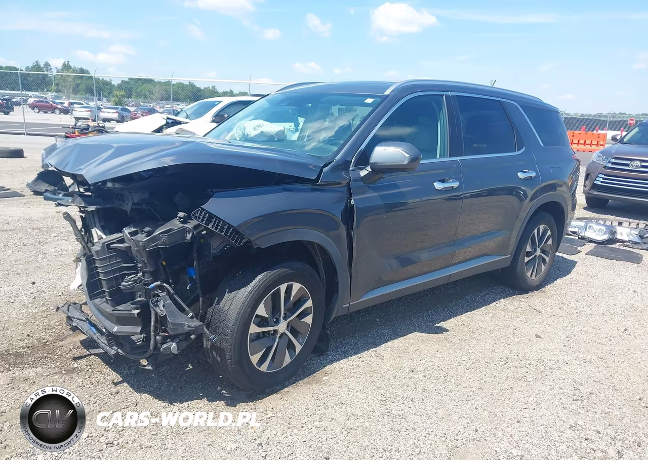 2020 Hyundai Palisade Sel VIN:KM8R24HE9LU104617 - 2