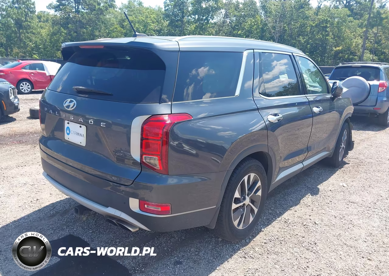 2020 Hyundai Palisade Sel VIN:KM8R24HE9LU104617 - 4