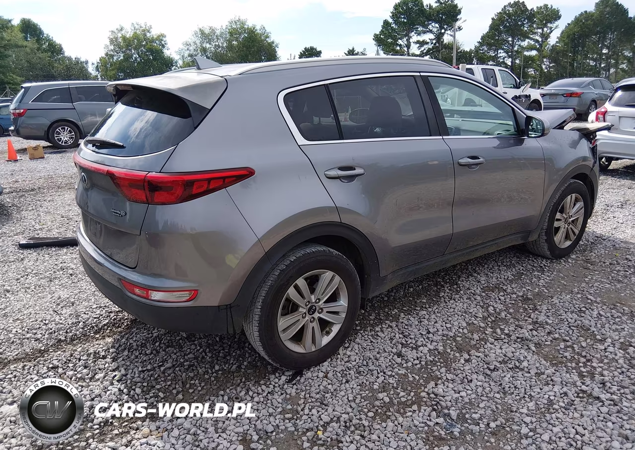 2019 Kia Sportage Lx VIN:KNDPM3AC5K7525269 - 4
