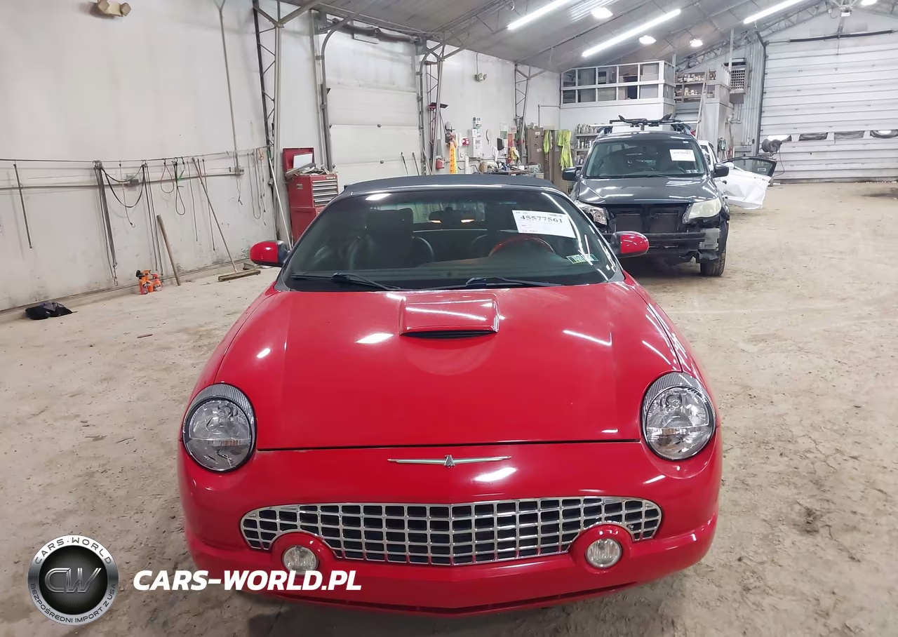 2002 Ford Thunderbird Deluxe-Premium-W-Hardtop Deluxe-W-Hardtop Premium VIN:1FAHP60A42Y115379 - 12