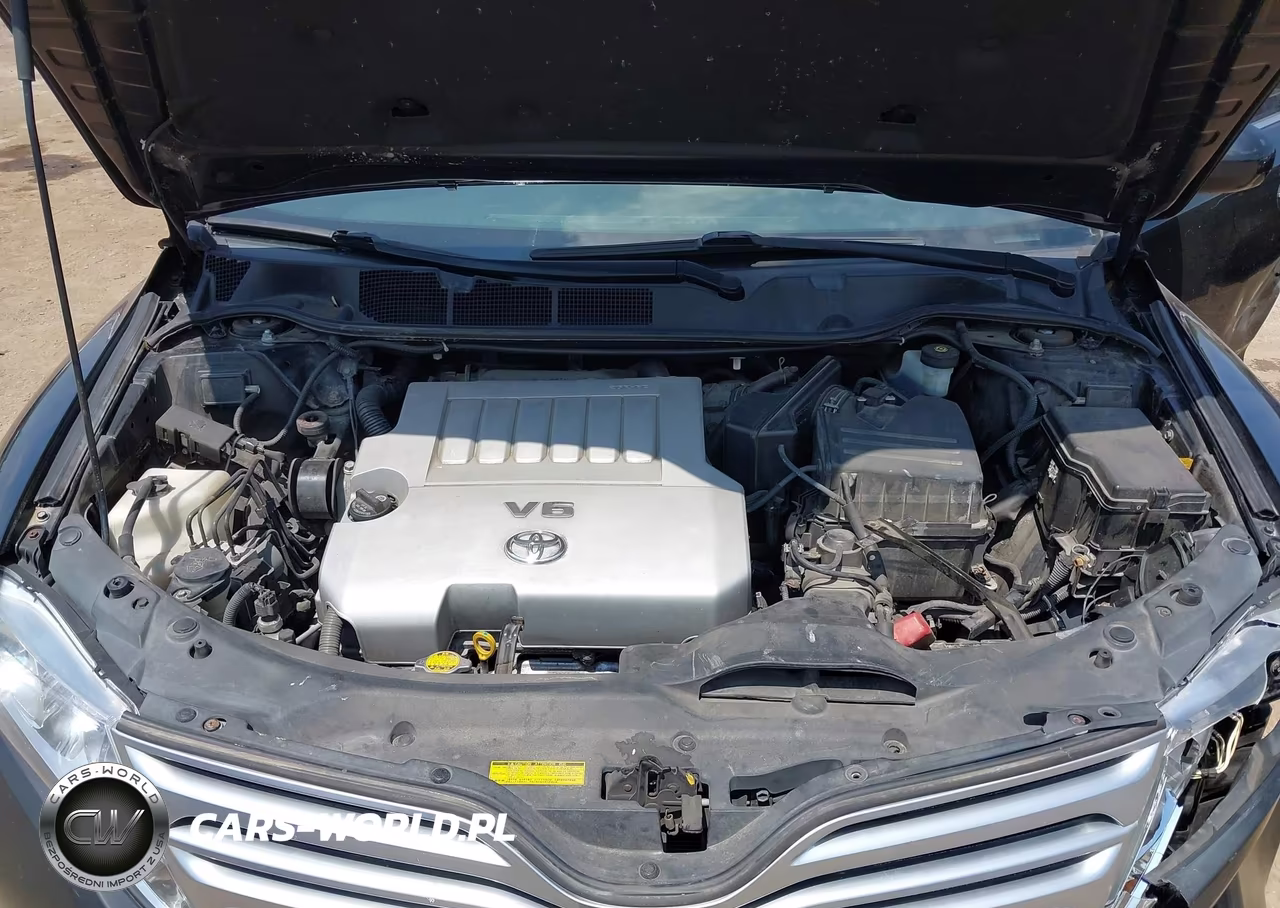 2010 Toyota Venza Base V6 VIN:4T3BK3BB1AU040393 - 10