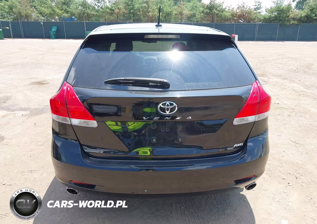 2010 Toyota Venza Base V6 VIN:4T3BK3BB1AU040393 - 17