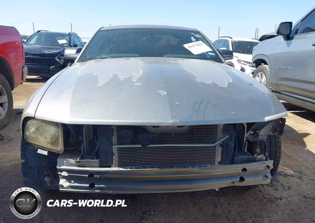 2008 Ford Mustang Gt Deluxe-Gt Premium VIN:1ZVHT82H585163072 - 13