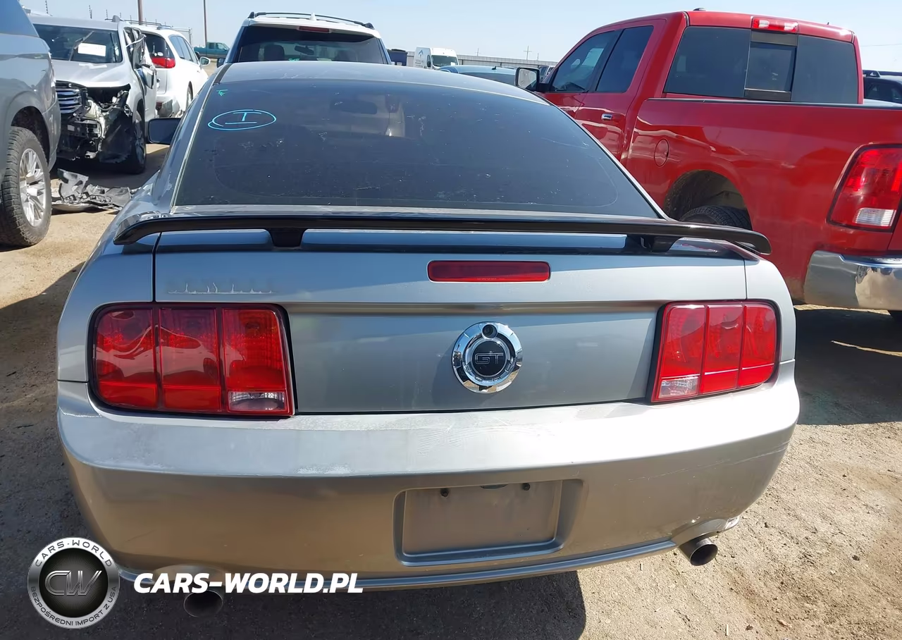 2008 Ford Mustang Gt Deluxe-Gt Premium VIN:1ZVHT82H585163072 - 17
