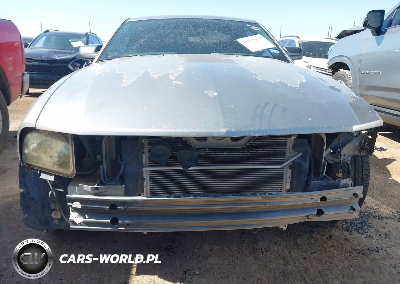 2008 Ford Mustang Gt Deluxe-Gt Premium VIN:1ZVHT82H585163072 - 6