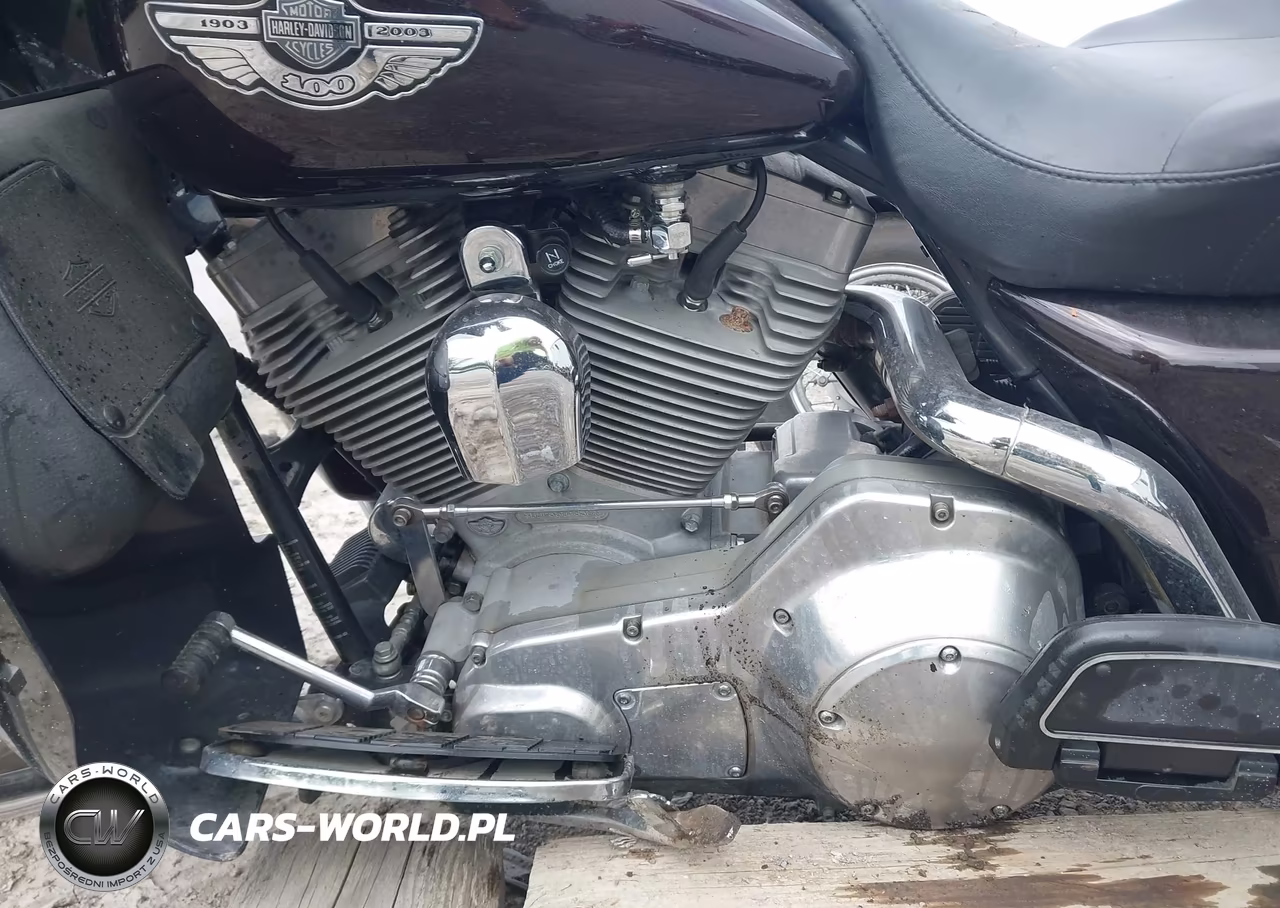 2003 Harley-Davidson Flht VIN:1HD1DDV143Y607850 - 9