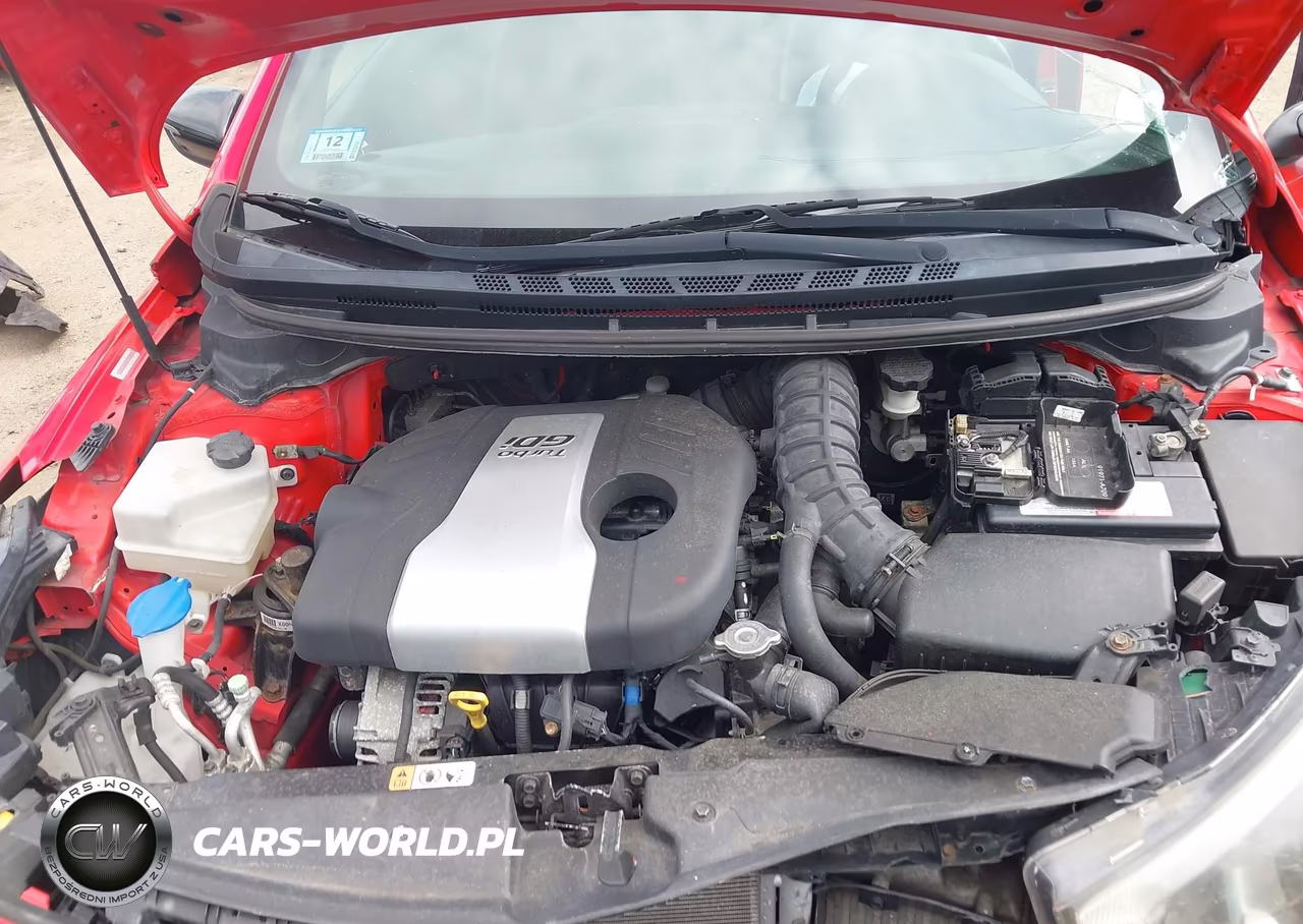 2015 Kia Forte Sx VIN:KNAFZ5A39F5274828 - 10