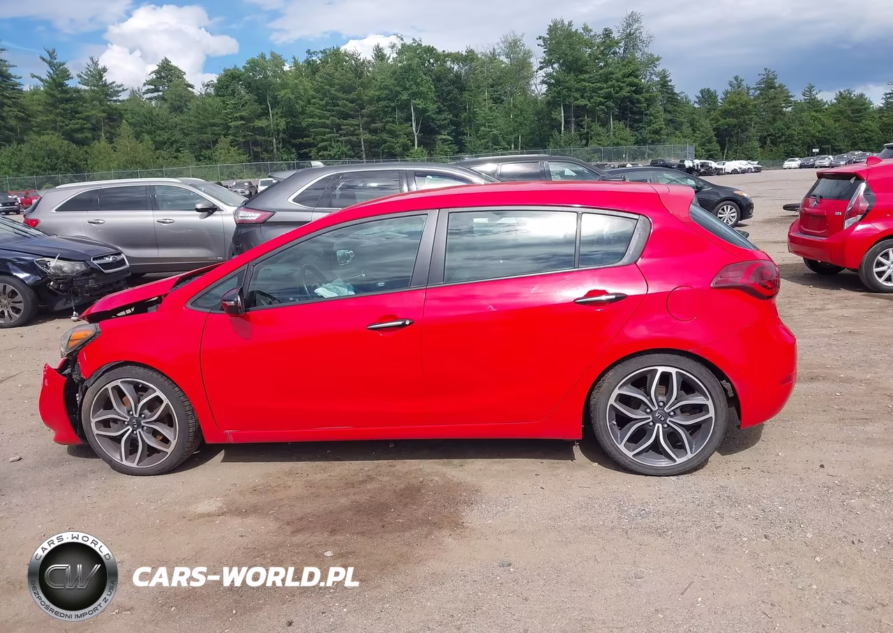 2015 Kia Forte Sx VIN:KNAFZ5A39F5274828 - 15