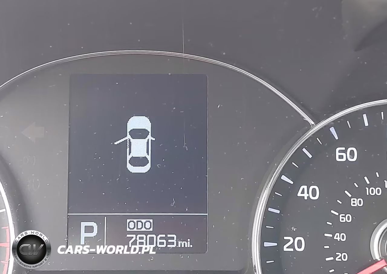 2015 Kia Forte Sx VIN:KNAFZ5A39F5274828 - 16