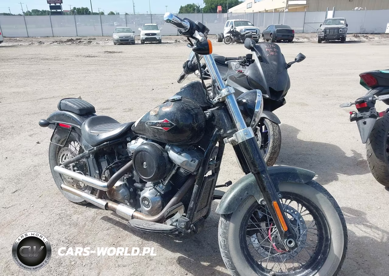 2019 Harley-Davidson Flsl – zdjęcie 1 z 12