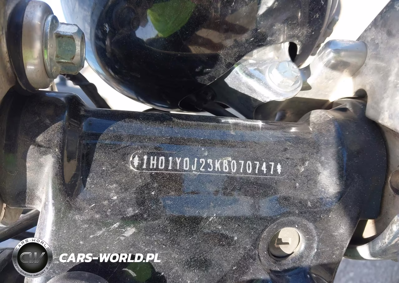 2019 Harley-Davidson Flsl VIN:1HD1YDJ23KB070747 - 10