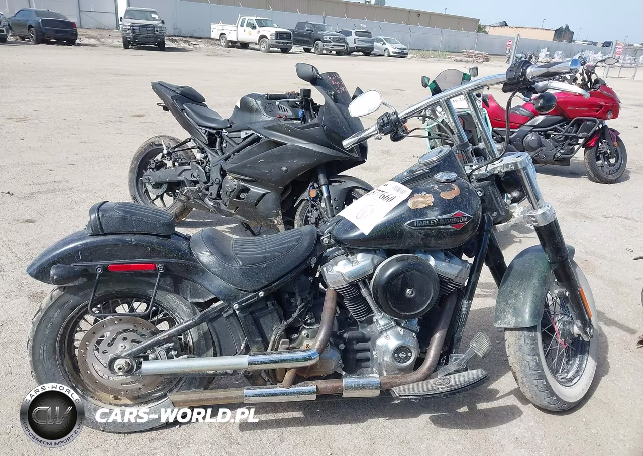 2019 Harley-Davidson Flsl VIN:1HD1YDJ23KB070747 - 11
