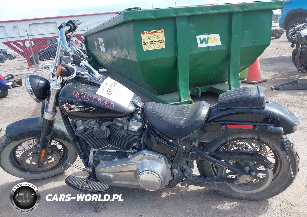 2019 Harley-Davidson Flsl VIN:1HD1YDJ23KB070747 - 12