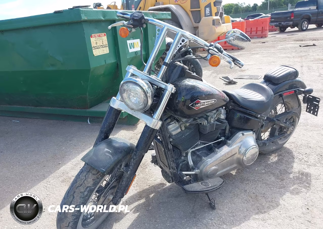 2019 Harley-Davidson Flsl VIN:1HD1YDJ23KB070747 - 2