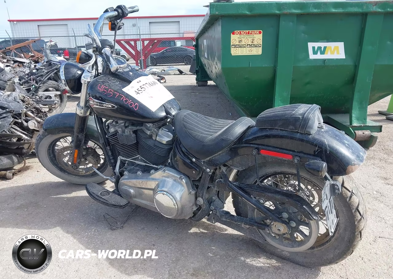 2019 Harley-Davidson Flsl VIN:1HD1YDJ23KB070747 - 3