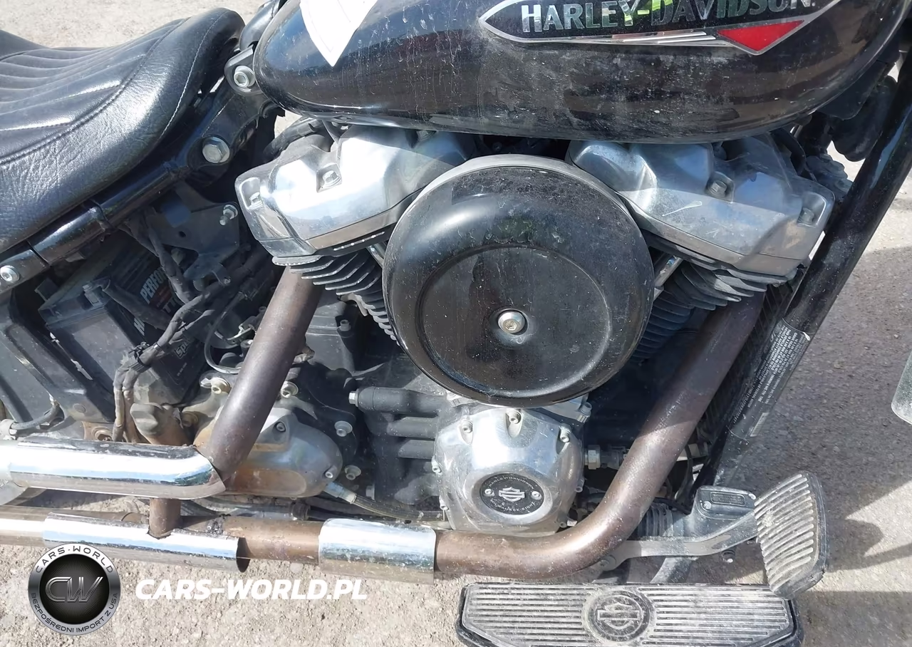 2019 Harley-Davidson Flsl VIN:1HD1YDJ23KB070747 - 8