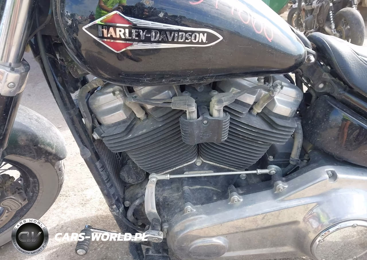 2019 Harley-Davidson Flsl VIN:1HD1YDJ23KB070747 - 9