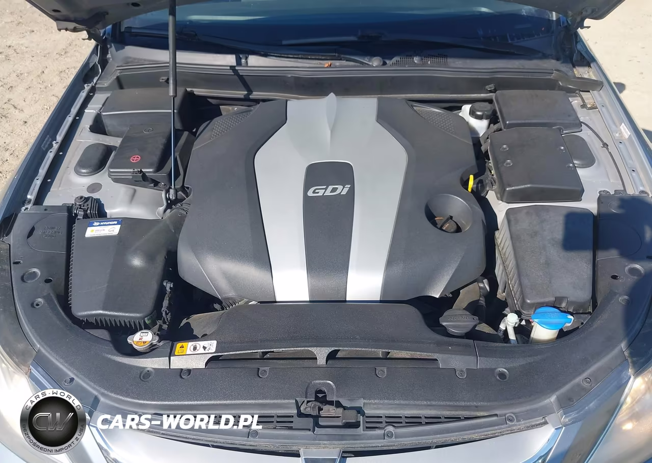 2014 Hyundai Genesis 3.8 VIN:KMHGC4DD1EU260025 - 10
