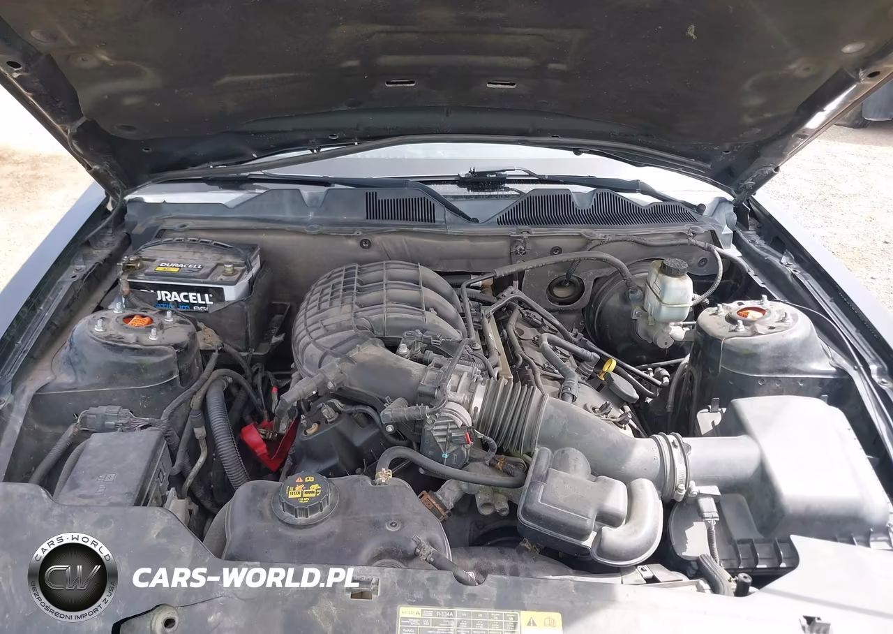 2012 Ford Mustang V6 VIN:1ZVBP8AM4C5241455 - 10