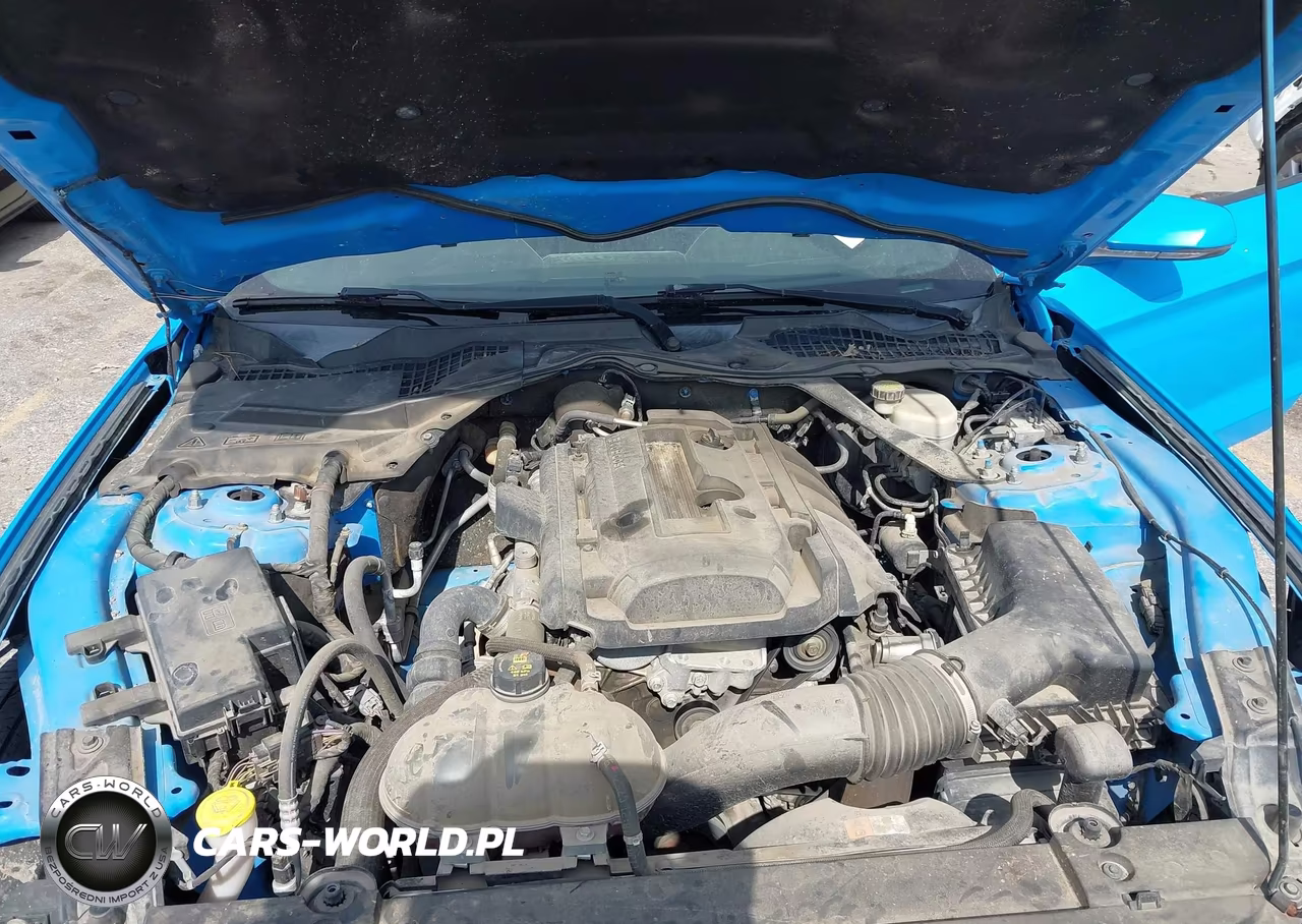 2017 Ford Mustang Ecoboost VIN:1FA6P8TH1H5213551 - 10