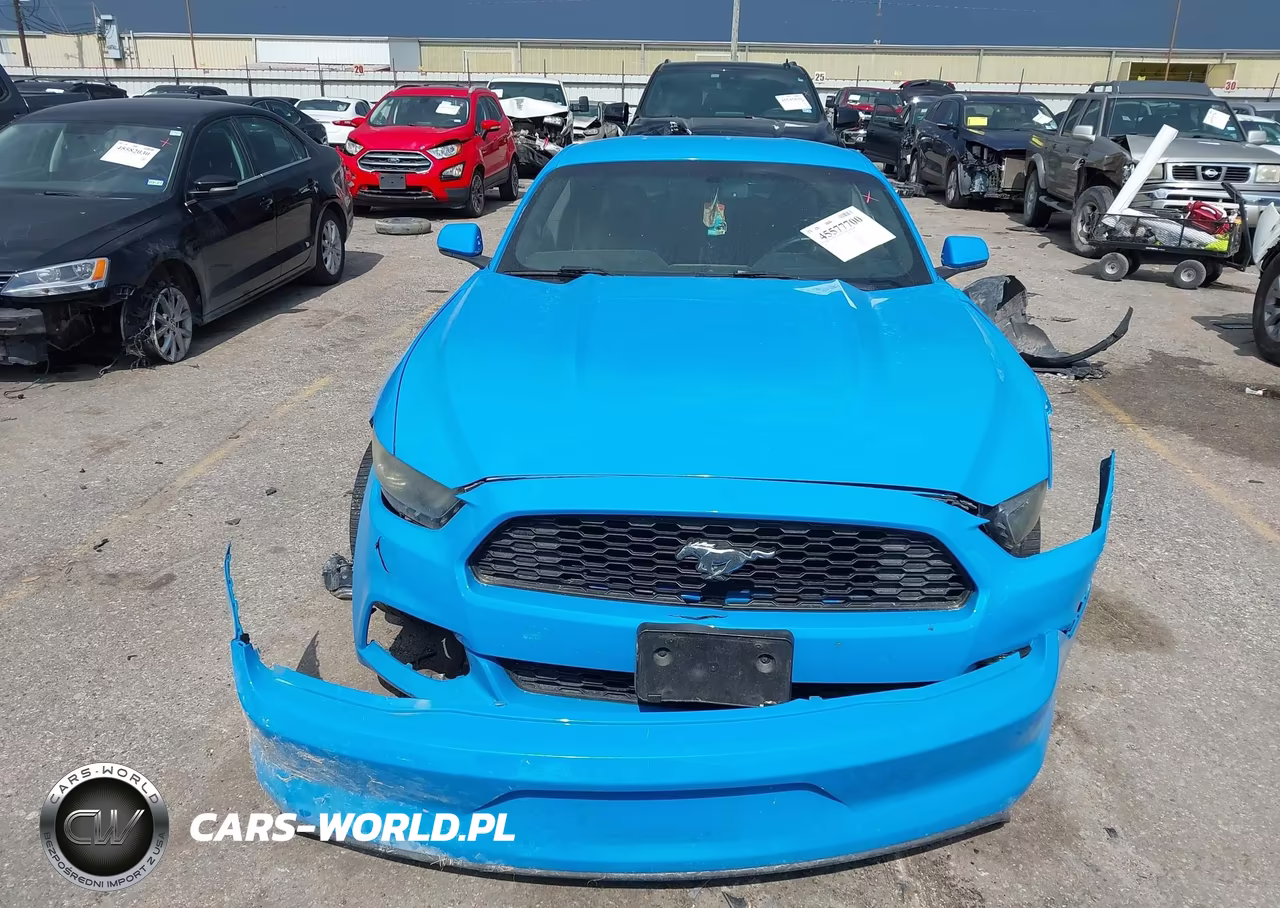 2017 Ford Mustang Ecoboost VIN:1FA6P8TH1H5213551 - 13