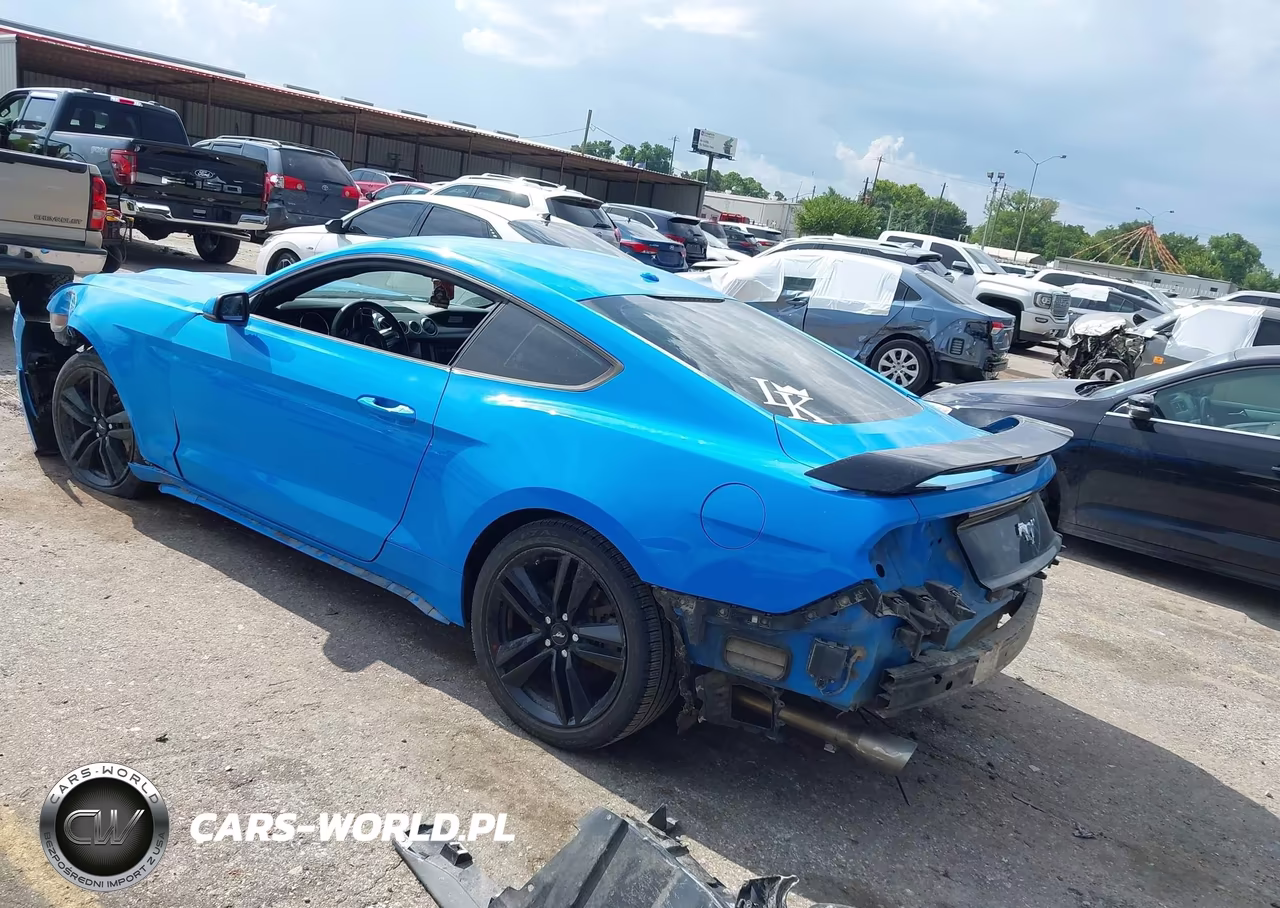 2017 Ford Mustang Ecoboost VIN:1FA6P8TH1H5213551 - 3
