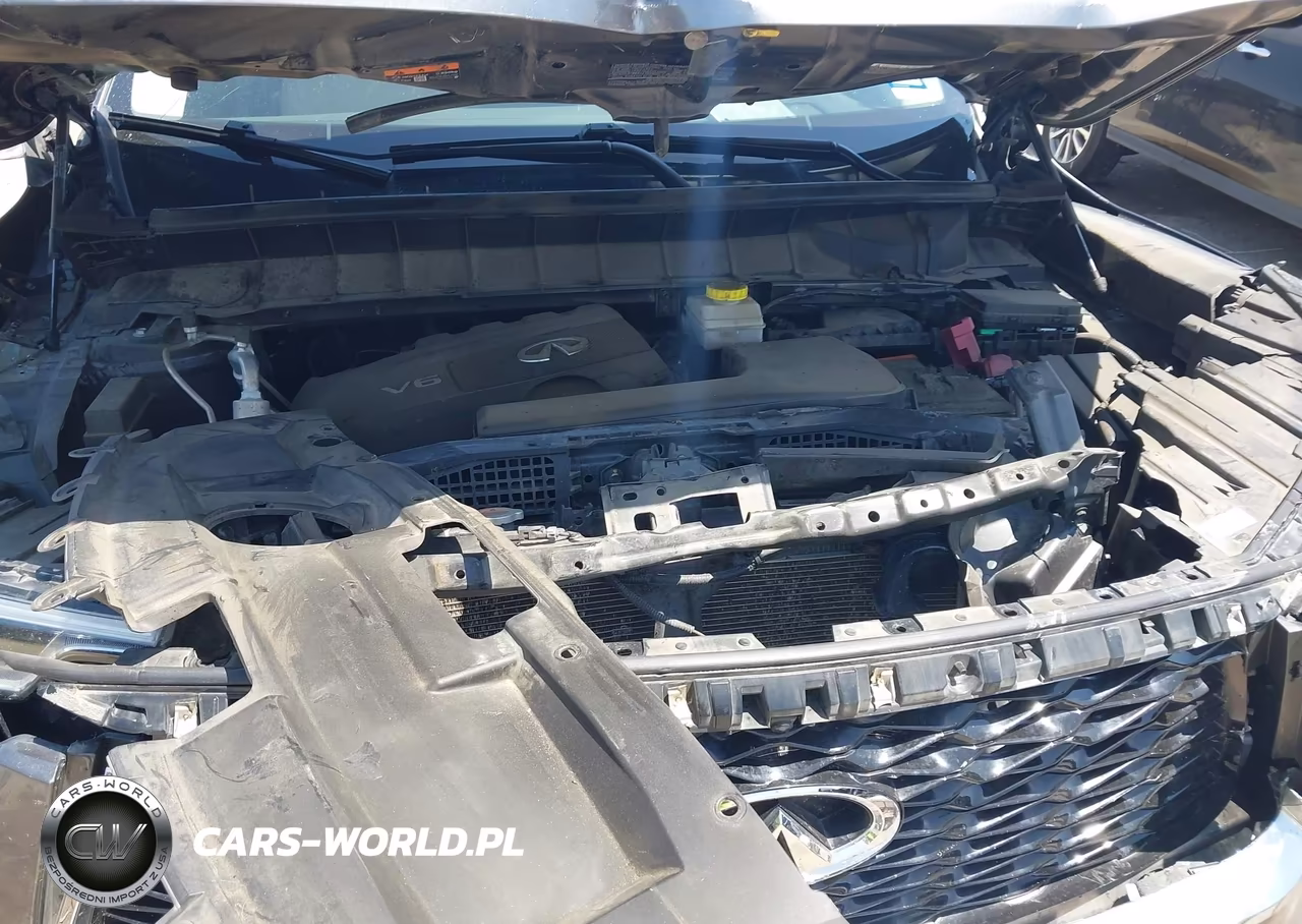 2024 Infiniti Qx60 Luxe VIN:5N1DL1FR6RC336540 - 10