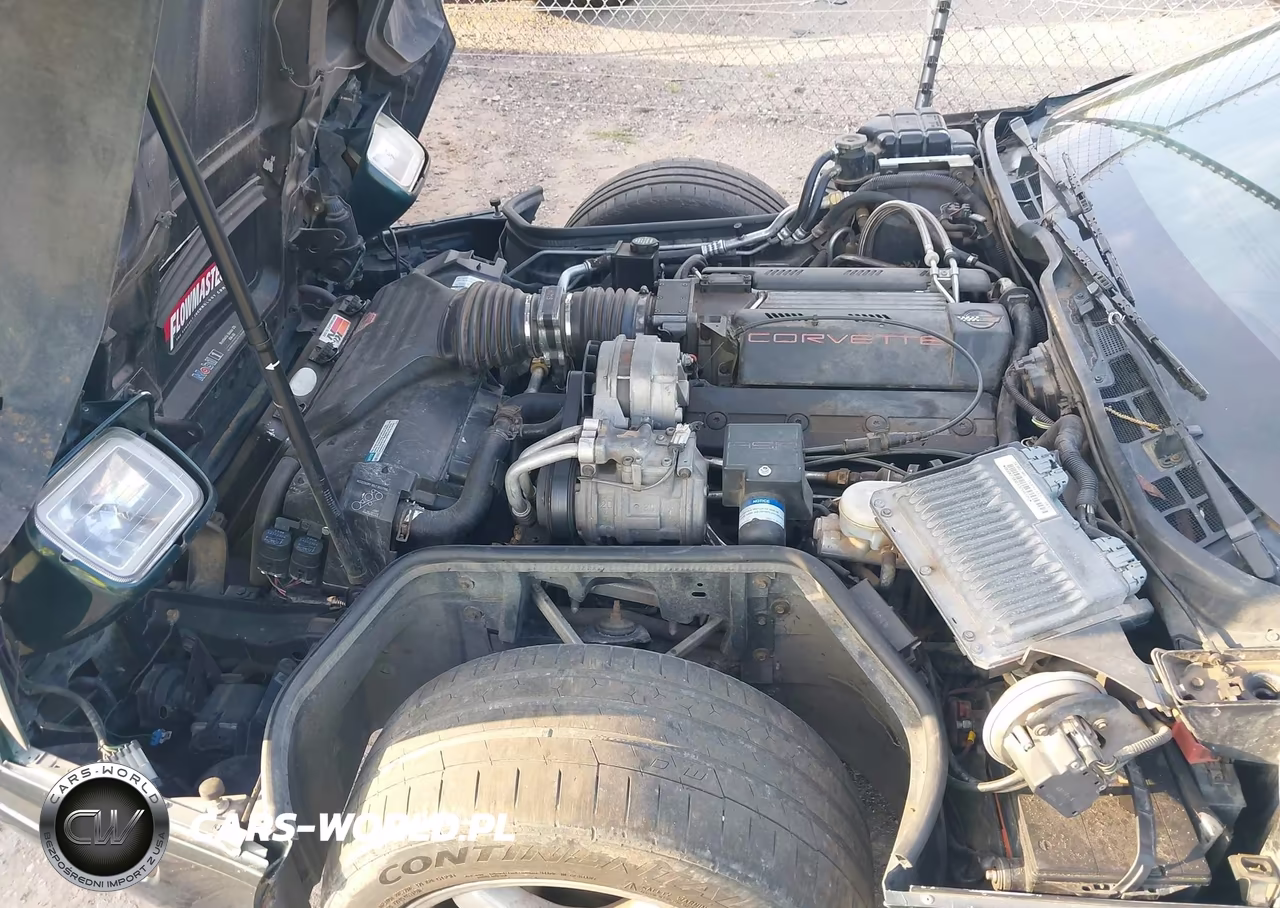 1994 Chevrolet Corvette VIN:1G1YY22P4R5106803 - 10