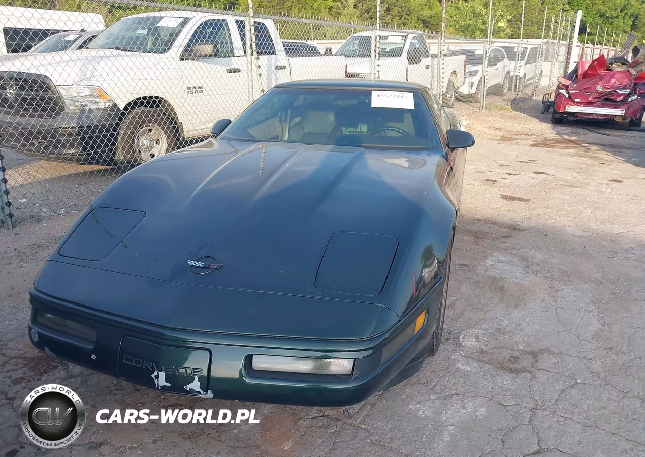 1994 Chevrolet Corvette VIN:1G1YY22P4R5106803 - 12