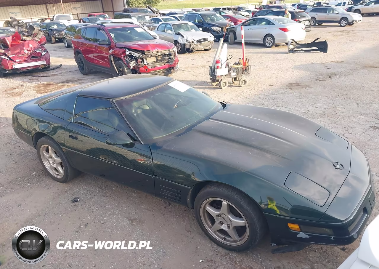 1994 Chevrolet Corvette VIN:1G1YY22P4R5106803 - 13