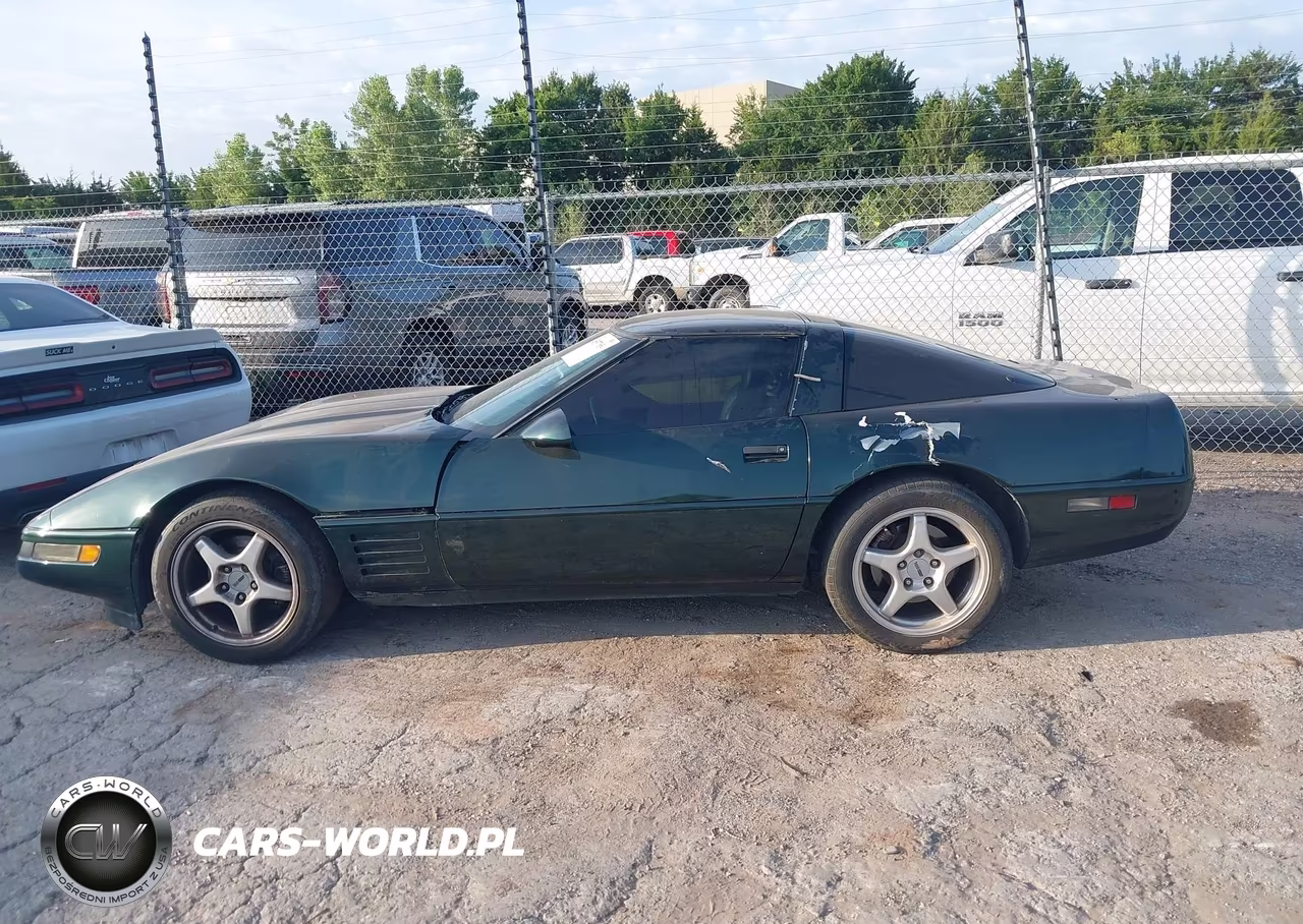 1994 Chevrolet Corvette VIN:1G1YY22P4R5106803 - 14