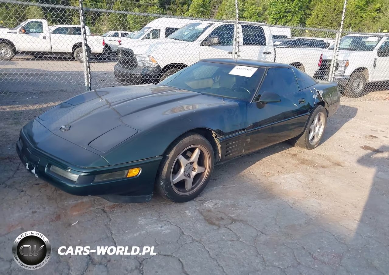 1994 Chevrolet Corvette VIN:1G1YY22P4R5106803 - 2
