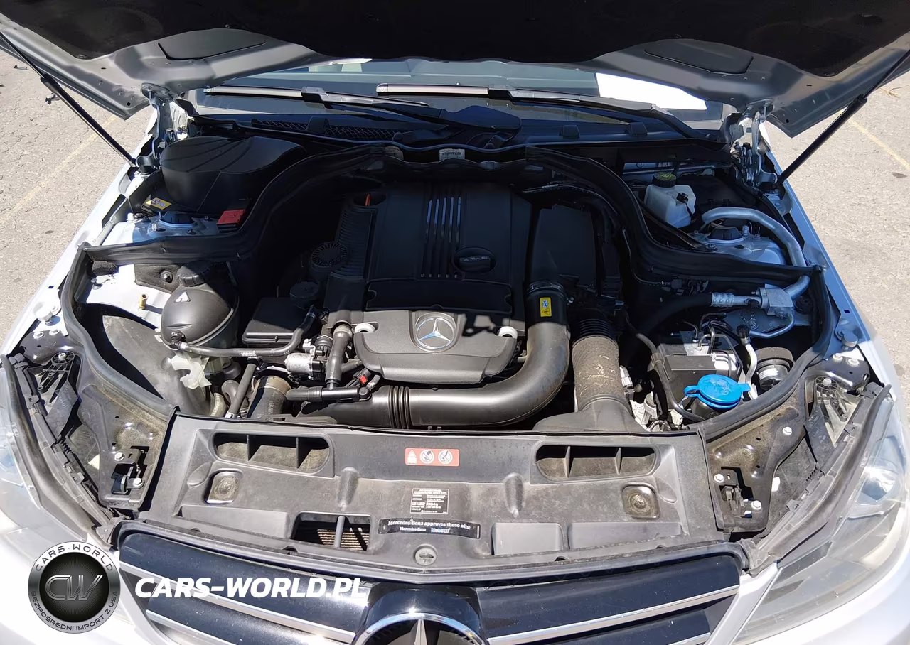 2014 Mercedes-Benz C 250 VIN:WDDGJ4HB4EG266571 - 10
